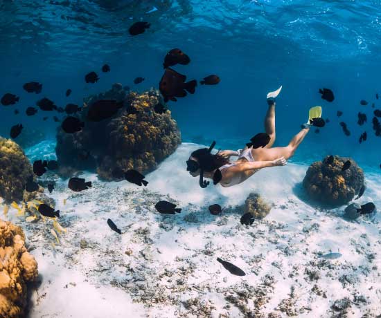 Snorkeling Raja Ampat Liveboard